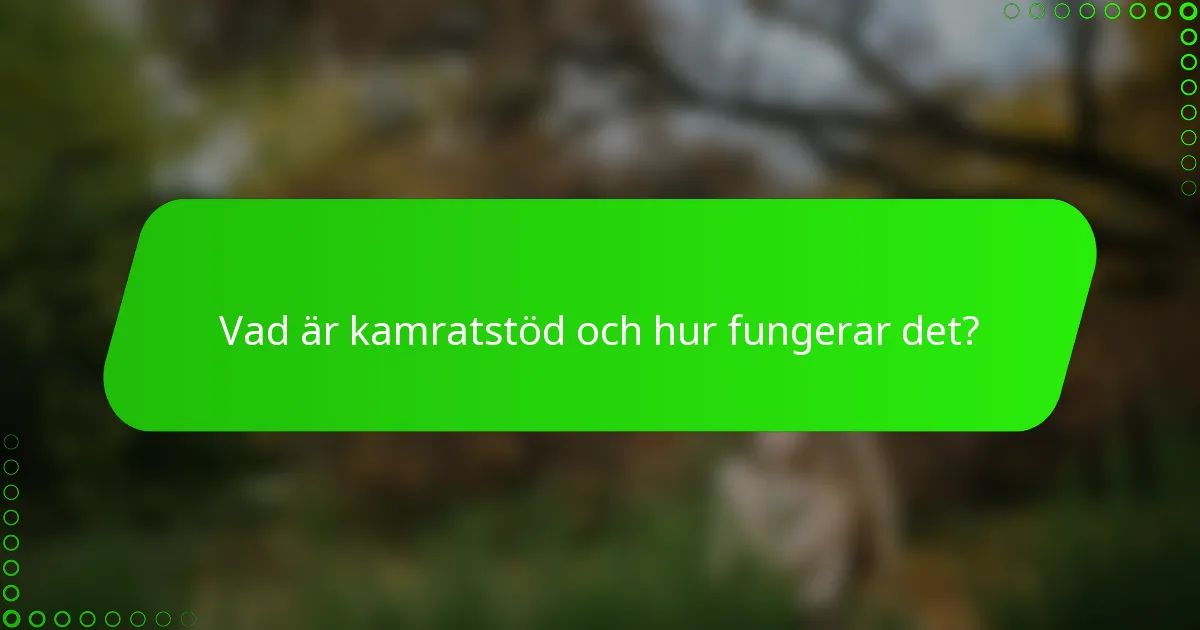 Vad är kamratstöd och hur fungerar det?