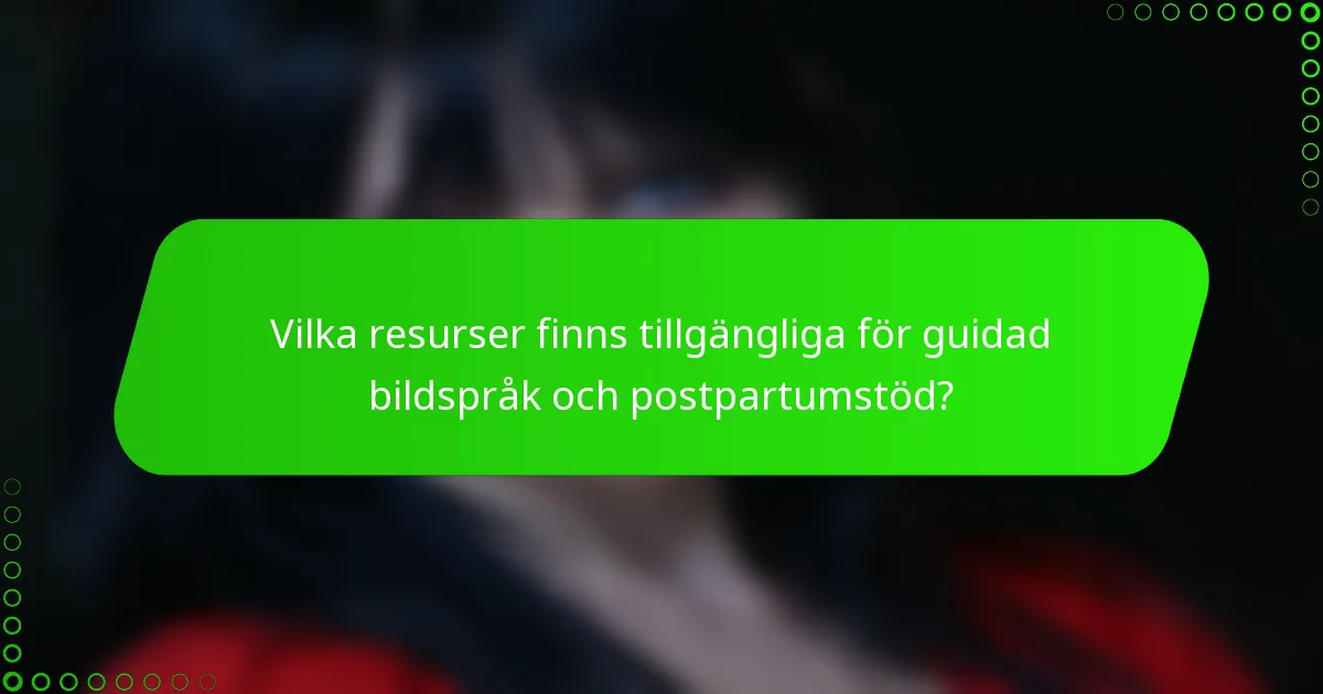 Vilka resurser finns tillgängliga för guidad bildspråk och postpartumstöd?